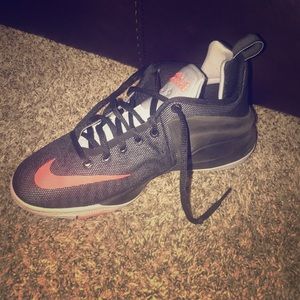 Lebron zoom witnesses